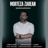 دانلود آهنگ مرتضی زارعان سردرگم